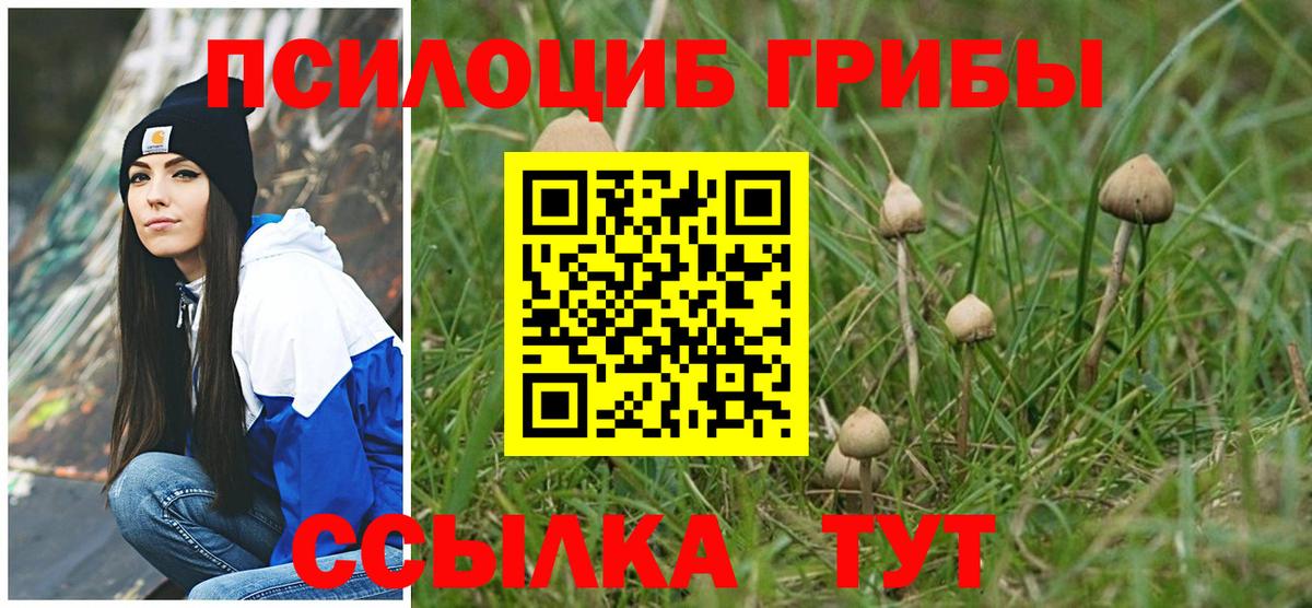 Галлюциногенные грибы ЛСД  Вход с VPN  Воронеж 